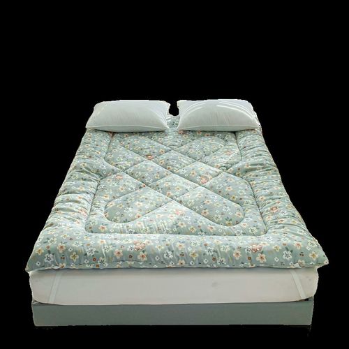 床褥子春秋冬天铺床褥子床垫铺底软垫家用卧室垫被加厚保暖垫子冬