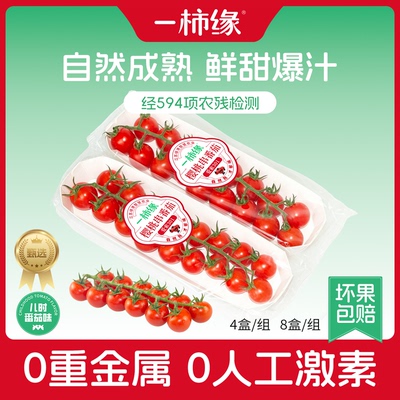 一柿缘串收樱桃番茄198g*6条