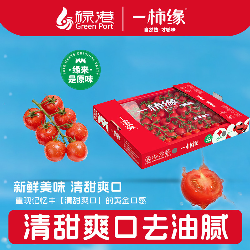 一柿缘标准串收小番茄