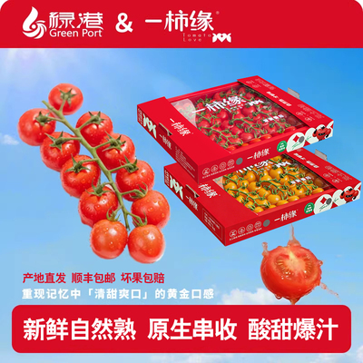 一柿缘串番茄红色礼盒装顺丰包邮
