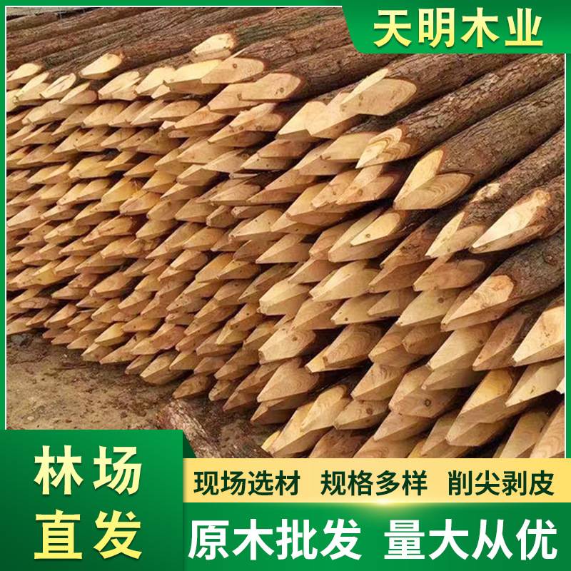 林场直发杉木桩剥皮车圆防腐木桩规格齐全6米5米4米量大从优工程