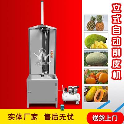 玲珑瓜削皮RSK机头网纹皮瓜削机商用大型果蔬单削套皮清洗全设备