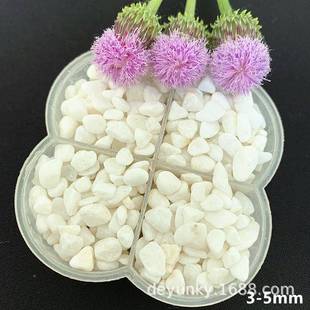 白色鹅卵白石园林磨造景石子庭院615铺路雨洗花石白色水石水石白