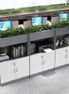 办公室隔文件柜木质矮IQL柜断柜办公桌边植柜侧柜资料柜绿花槽装