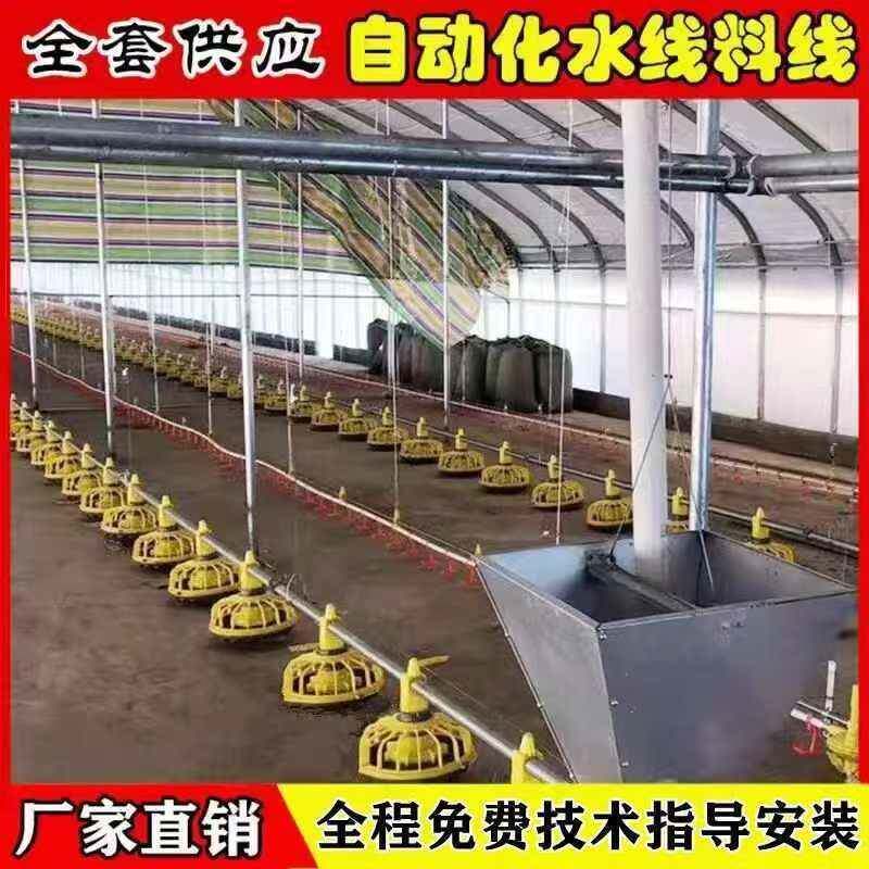 养鸡料线平养散养养鸭料线自动喂料喂水料线肉鸡散养自动料线