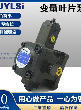 液压电机油泵变量叶片泵头VD1-30FA3 A1 VE2-40FA3 FA2 VB1-20FA3