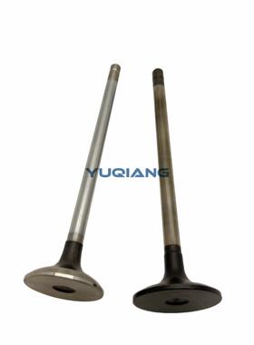 1-12551162-0进气门，1-12552100-0排气门用五十铃6WG1电喷发动机