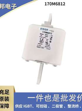 170M6566 170M6567 170M6568快速熔断器 保险丝 巴斯曼原厂