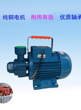 广东5凌水泵1DB3、1DB单KQH45、1霄DB65相220V家用清水泵