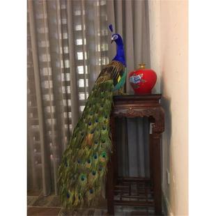 仿真孔雀橱窗毛装饰家居件拖型尾孔雀开屏羽孔雀摄影摆婚庆模XBD