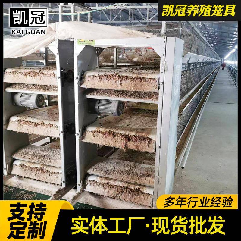 热镀锌框架立式肉鸡笼备组式肉鸡设全鸡舍套笼子自动化养殖AEO设