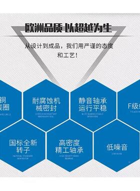 全铜YS-71611M2-2055KW相铝壳电动机MS三YE3电机厂家380.V