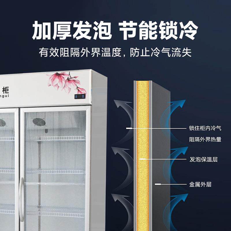 商冰用大容量门鲜花柜花双店冷2冷藏展示柜