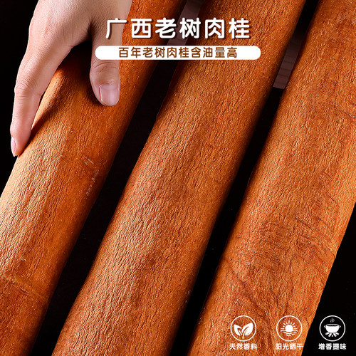 广西老树肉桂烟桂油桂大料