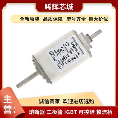 170M3810 170M3811 直流快速熔断器 库存充足 型号齐全现货