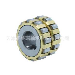 圆柱滚子609 51YRX  整体偏心轴承  双列偏心轴承