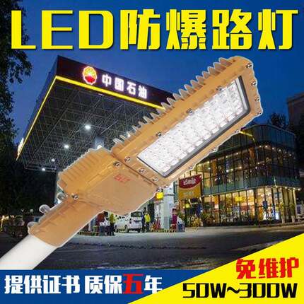 LED防爆路灯加油站加气站化工厂油库太阳能防爆灯6米高杆应急灯
