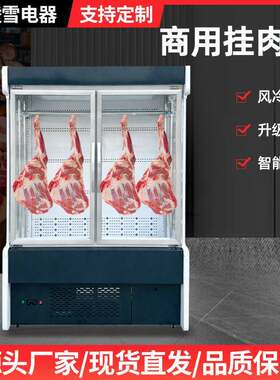 挂肉柜商用立式牛羊肉冷藏展示柜熟成柜双门鲜肉冰柜保鲜柜