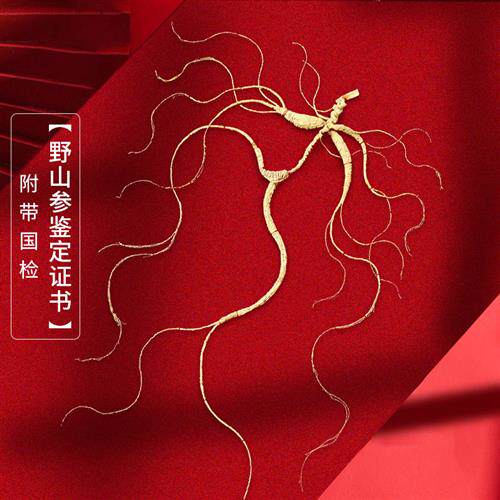 长白山人参15年以上野山参整支一等国检人参礼盒端午