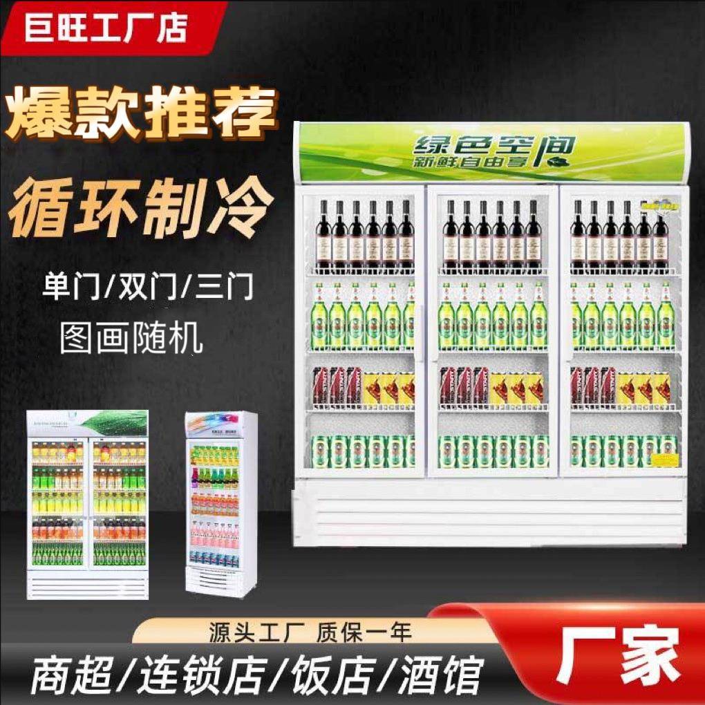 双门立式商超饮料啤酒直冷风冷冰箱冷冻柜保鲜冷藏展示柜冰柜商用