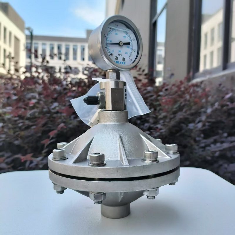 不锈钢膜片式脉冲阻尼器304/316L隔膜阻尼器液体缓冲器dN1520加厚