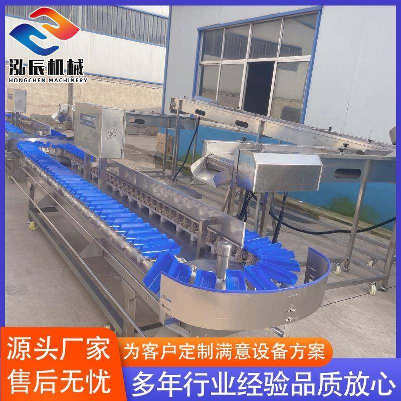 全自动重量分选机设备 鸡翅鸡腿称重机 猕猴桃桃子重量分选机,五金/工具,其他包装设备,淘宝优惠券,粉丝福利购,淘宝优惠卷