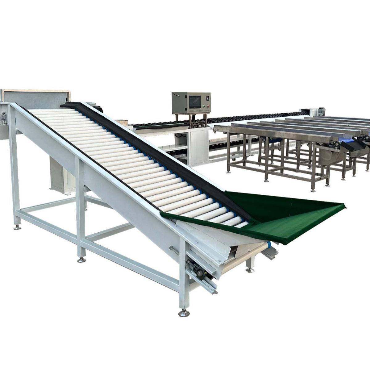 果蔬类称重分拣机料盒式自动分选机高精度车厘子樱桃大小选果机,清洗/食品/商业设备,肉制品加工设备,淘宝优惠券,粉丝福利购,淘宝优惠卷