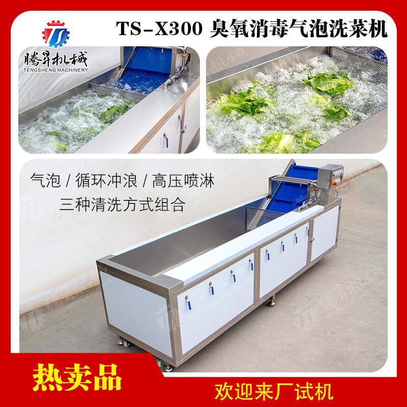 果蔬臭氧消毒清洗机 大姜气泡清洗机 连续式全自动洗菜机