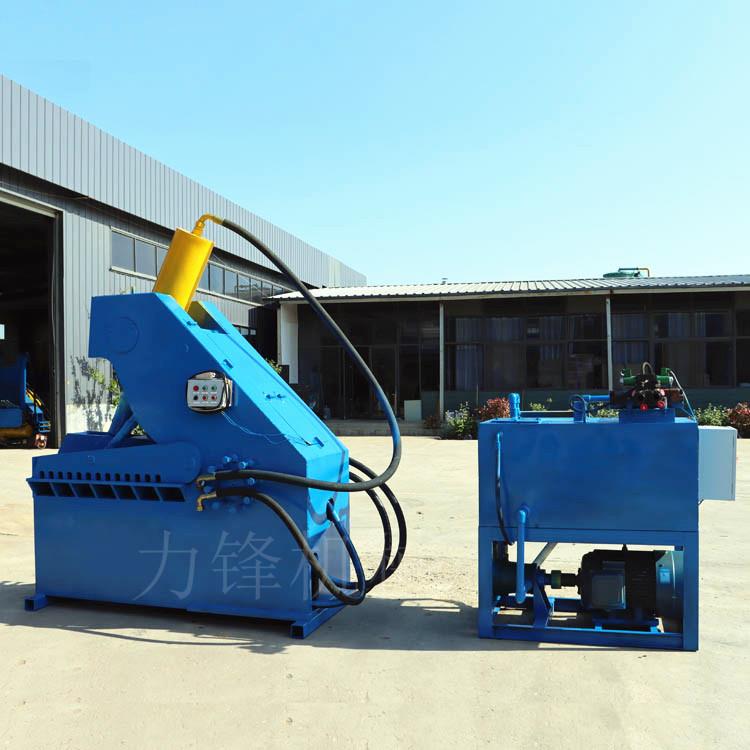 双龙门式虎头剪切机 废铁剪切机 废金属钢筋钢管切断机