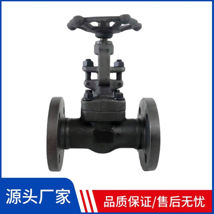 国标法兰 J41H-100 锻钢截止阀 DN50 PN100 高温高压 现货