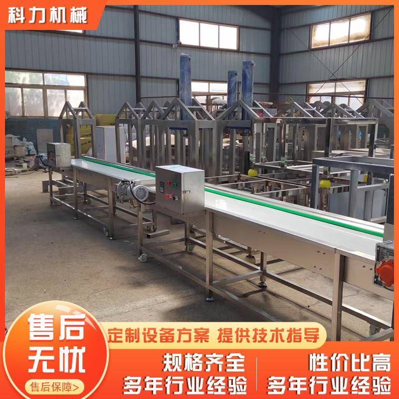 丸子机连云港鱼丸加工全套设备 鱼丸蒸煮机 自动丸子成型机