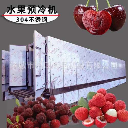 秋葵预冷机 循环水预冷设备 全自动水果预冷机 荔枝预冷线设备