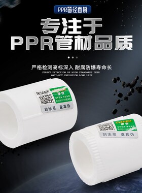 PPR等径直接束节S20 4分S25 6分32 1寸PPR水管管材管件配件直销