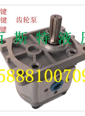 液压高压齿轮泵油泵CBN-E/F304/306/308/310312/314/316/320/325