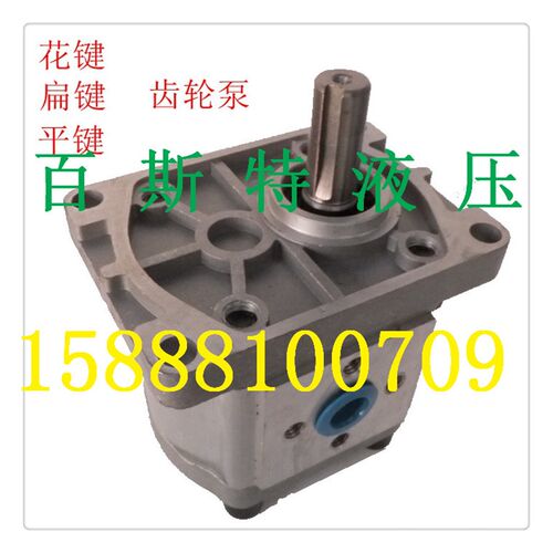 液压高压齿轮泵油泵CBN-E/F304/306/308/310312/314/316/320/325