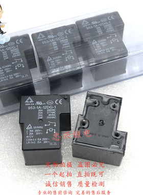 欣大继电器HSINDA 953-1A-12DG-1 953-1A-24DG-1 全新 12 24VDC