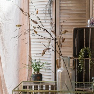 翎羽草枝仿真植物干燥树枝干燥花艺术质感花艺设计空间装饰插花