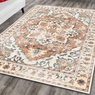 跨境热销客厅地毯复古波西米亚地毯土耳其客厅茶几美式办公室地垫