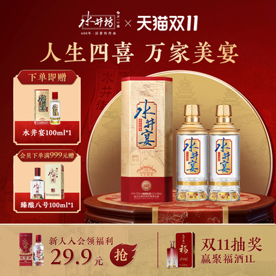 水井坊水井宴52度500ml*2浓香型