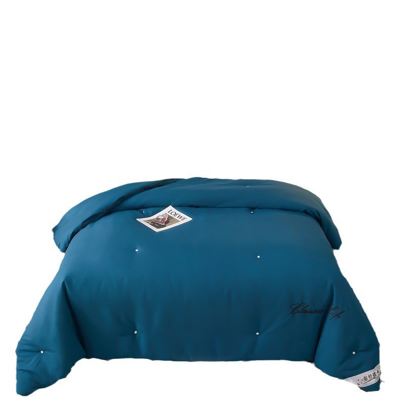 高档手工蚕丝冬被儿童空调夏凉被芯酒店春秋桑蚕丝结婚被子