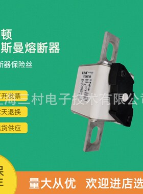全新原装快速熔断器保险丝170M5733 170M5734 170M5735 170M5738