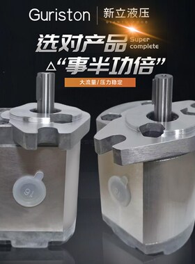 齿轮泵P101/P102/P104/P105/P106/P107/P109/P127/P135RP01GT油泵