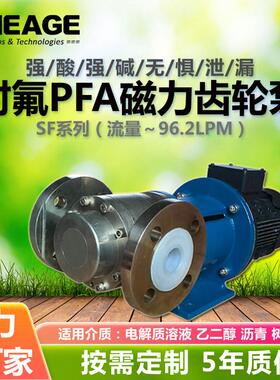 厂家供应磁力齿轮泵强酸碱氟塑料PFA化工泵SHEAGE SF601-CM水泵