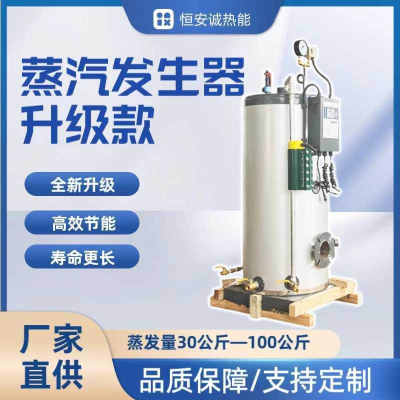 燃气蒸汽发生器 小型煮豆浆凉皮蒸食品工业锅炉商用蒸汽炉