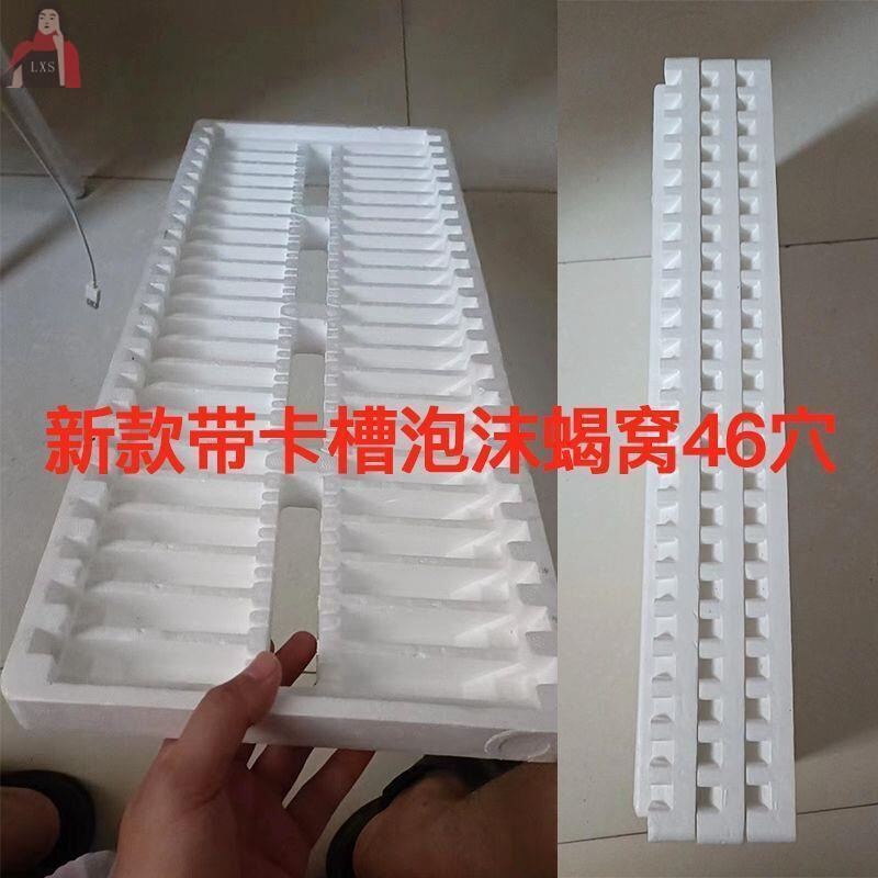 泡沫蝎窝群养二零养46蝎子残杀穴带出售群脱养殖卡槽用具