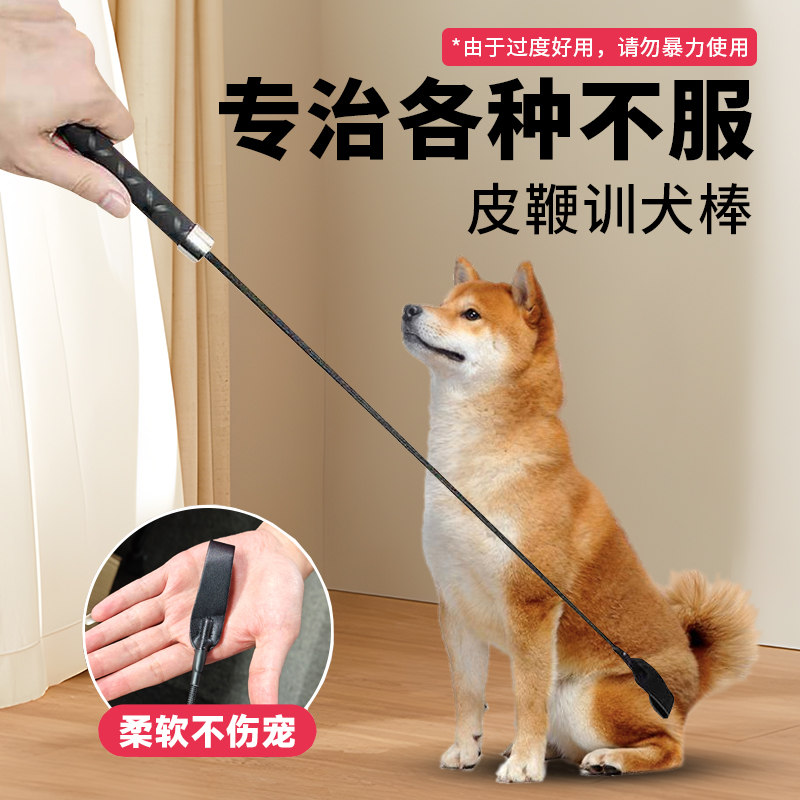 狗打棒训犬打狗棍狗狗爱心拍