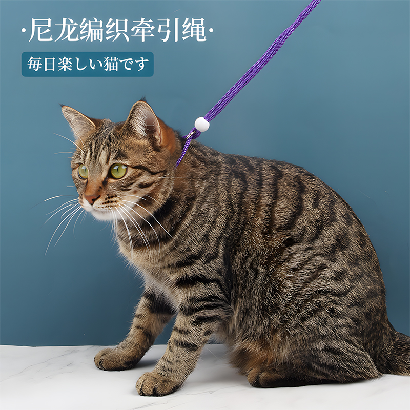 猫咪牵引绳防挣脱小型犬狗绳