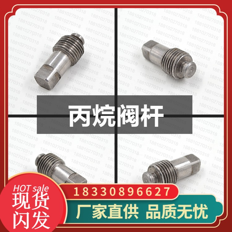 丙烷瓶阀阀杆 不锈钢阀杆 BWF-1瓶头阀杆 丙烷阀门配件