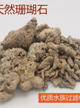 珊瑚骨滤材天然珊瑚沙鱼缸过滤材料造景礁石海鲜池滤石珊瑚石大块