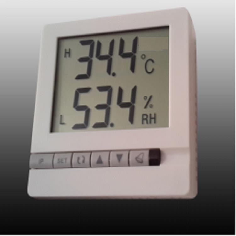 北京显示型温湿度变送器型号:TS-FTW15Y库号：M305651